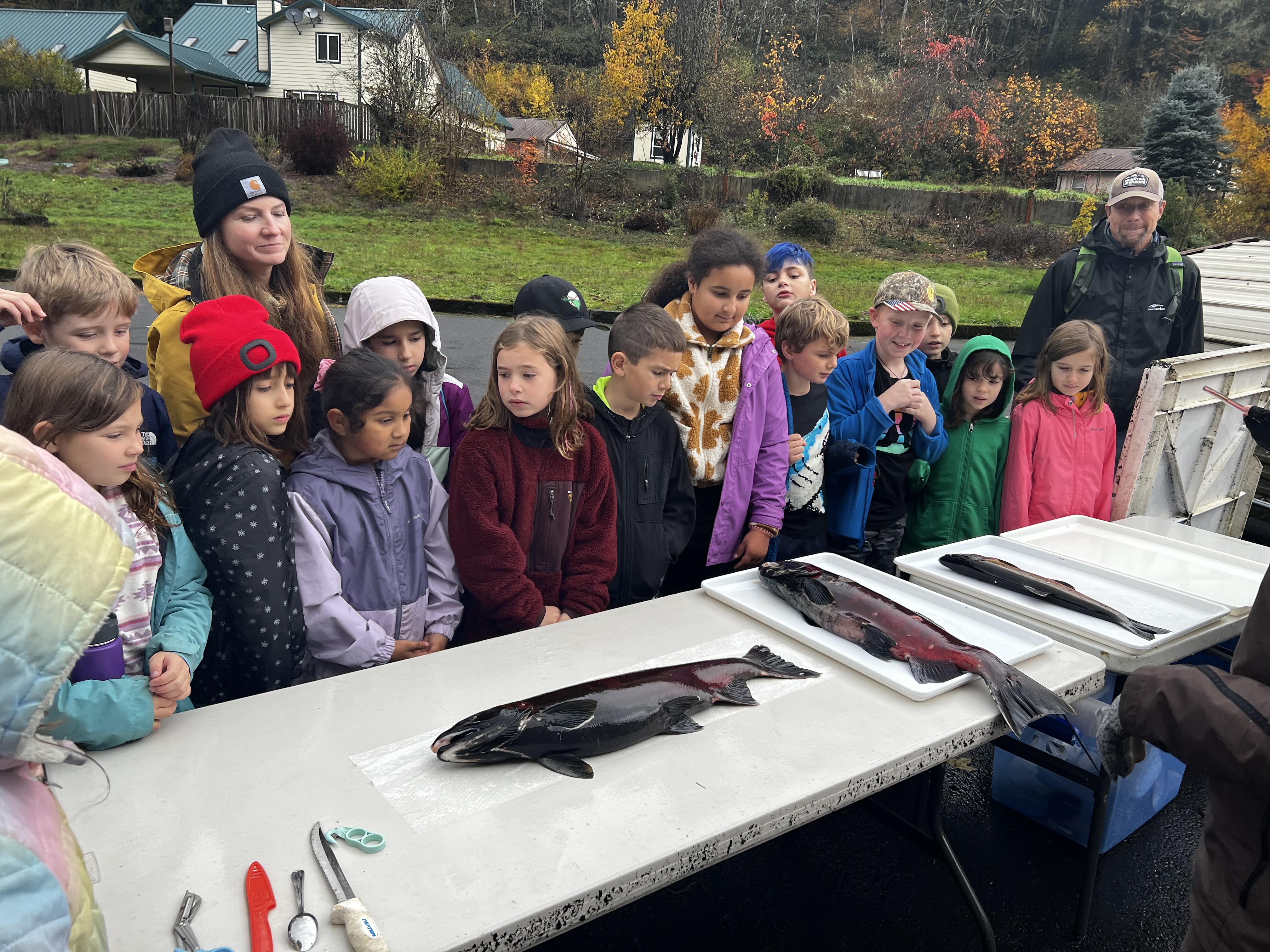 3rd graders with salmon at hatchery