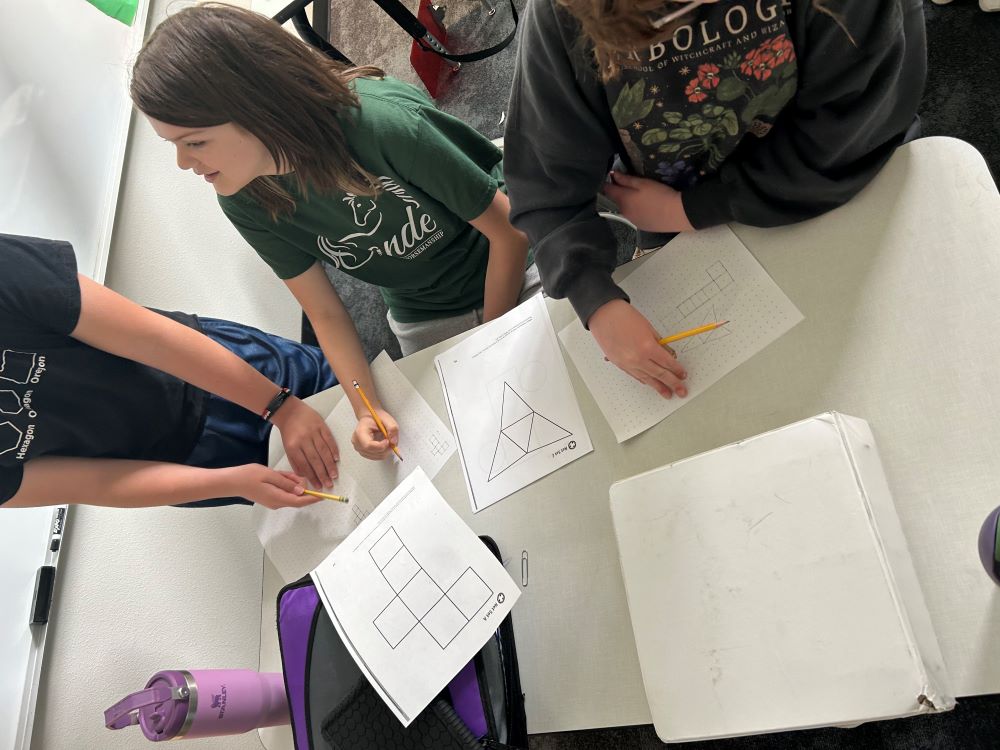 Current SIS Newsletter Sauvie Island School