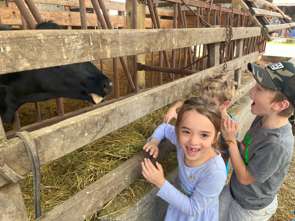 Current SIS Newsletter Sauvie Island School