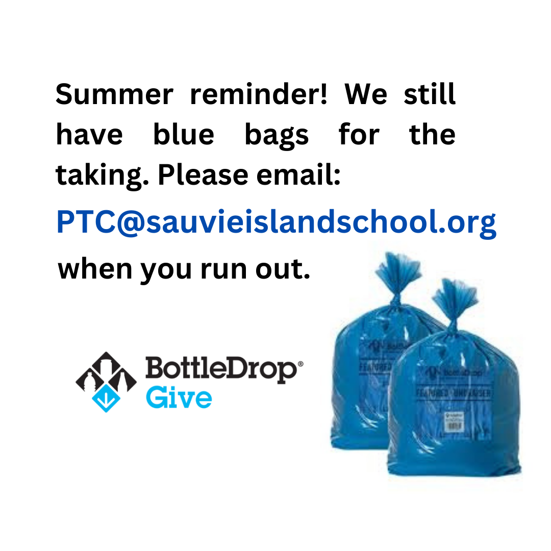 Blue Bag recycling program flyer