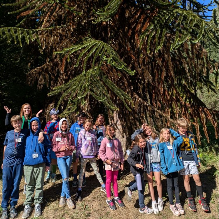 4th graders around a huge tree