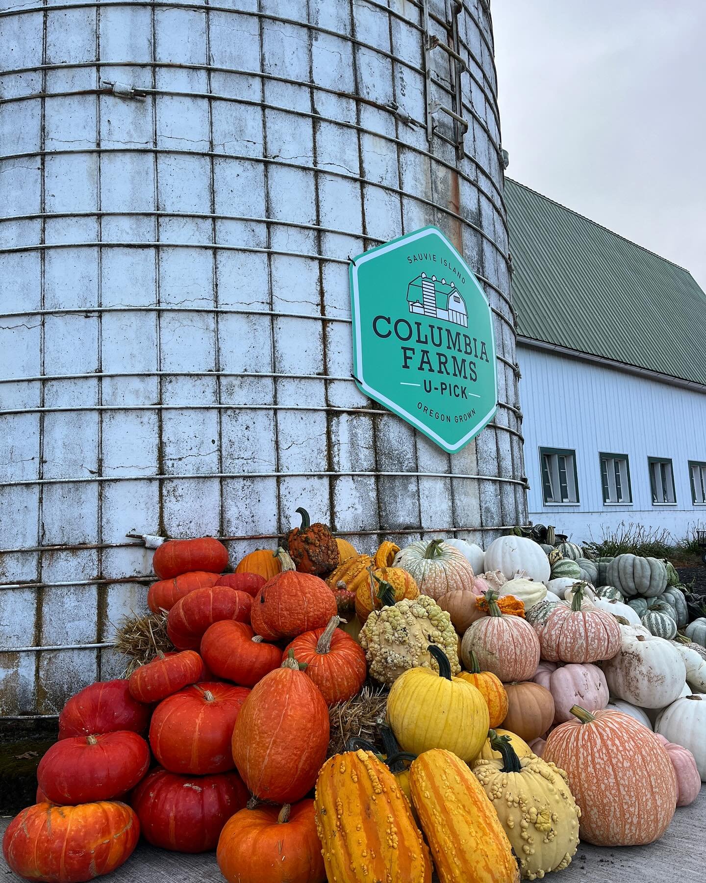 photo of Columbia Farms silo with pumpkins all around it