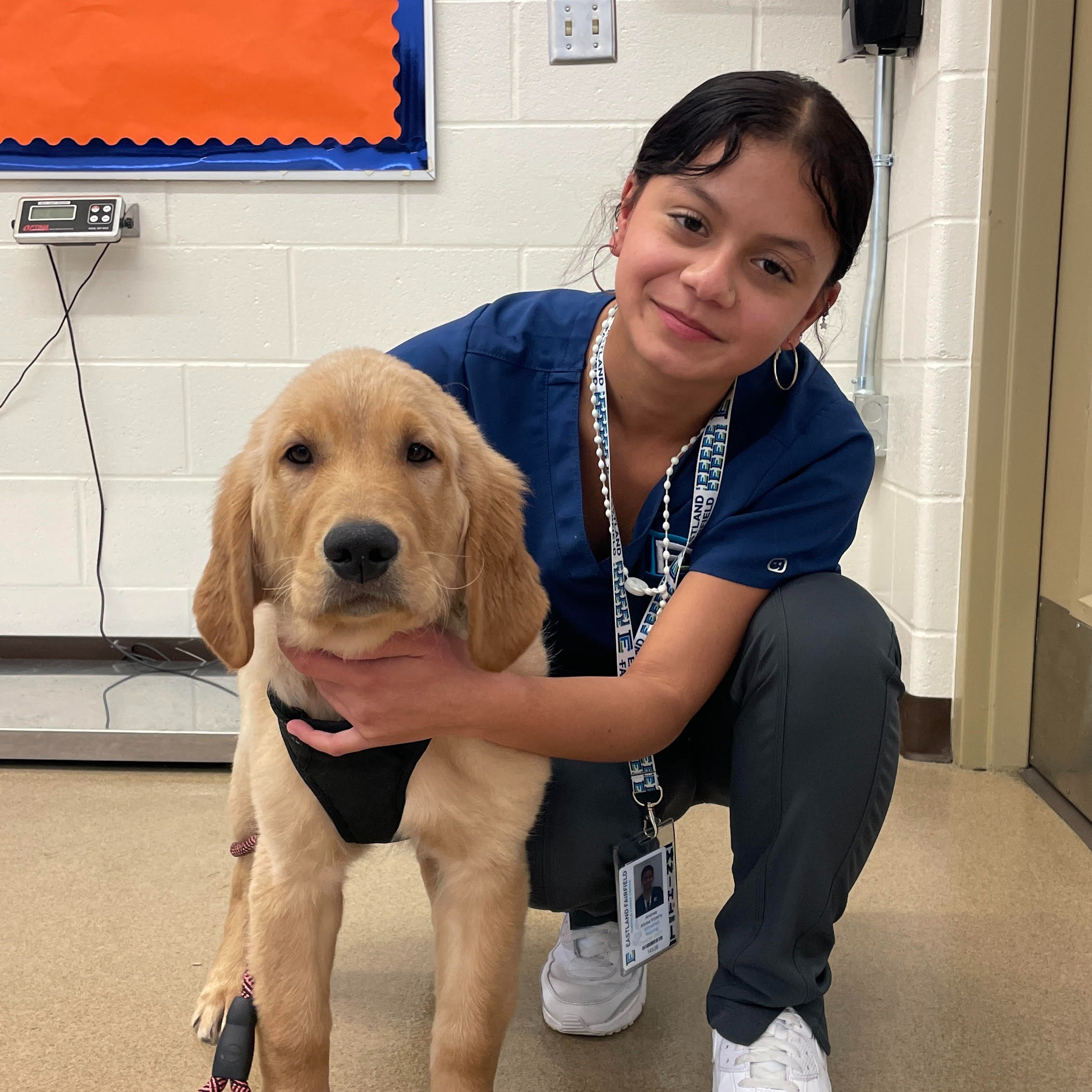 Female student holding onto a light color golden retreiver puppy.