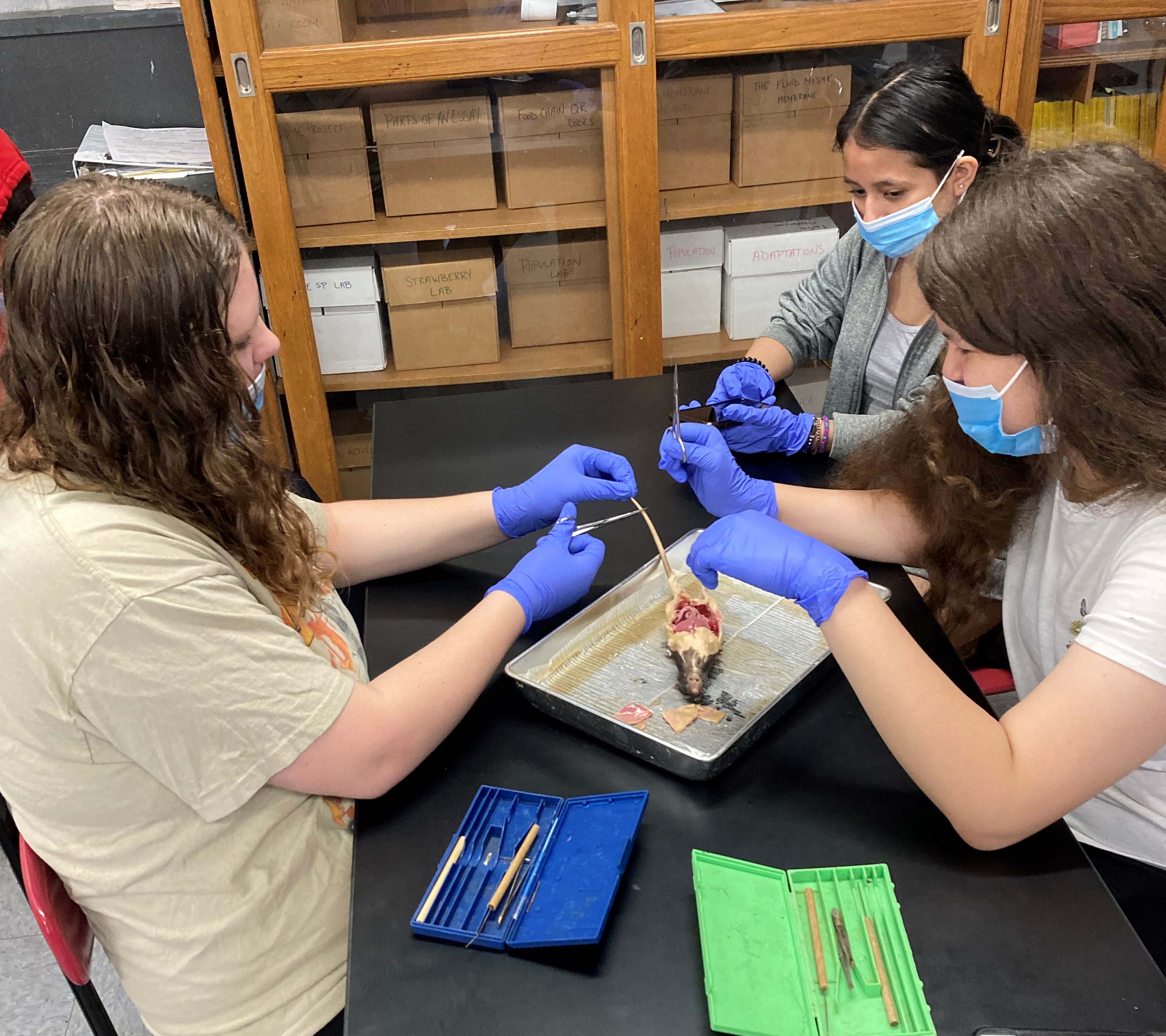 8th gr Science