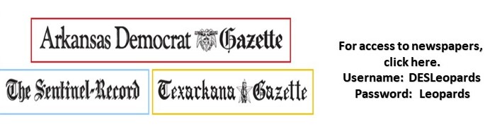 Newspaper access
