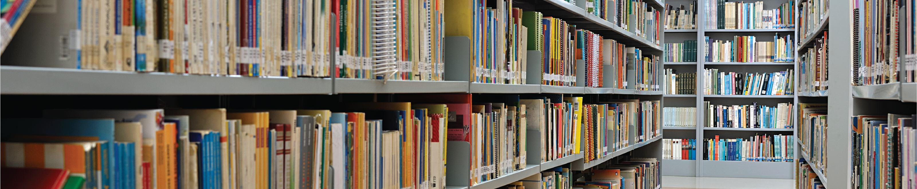 An image of book shelves inside a school library.