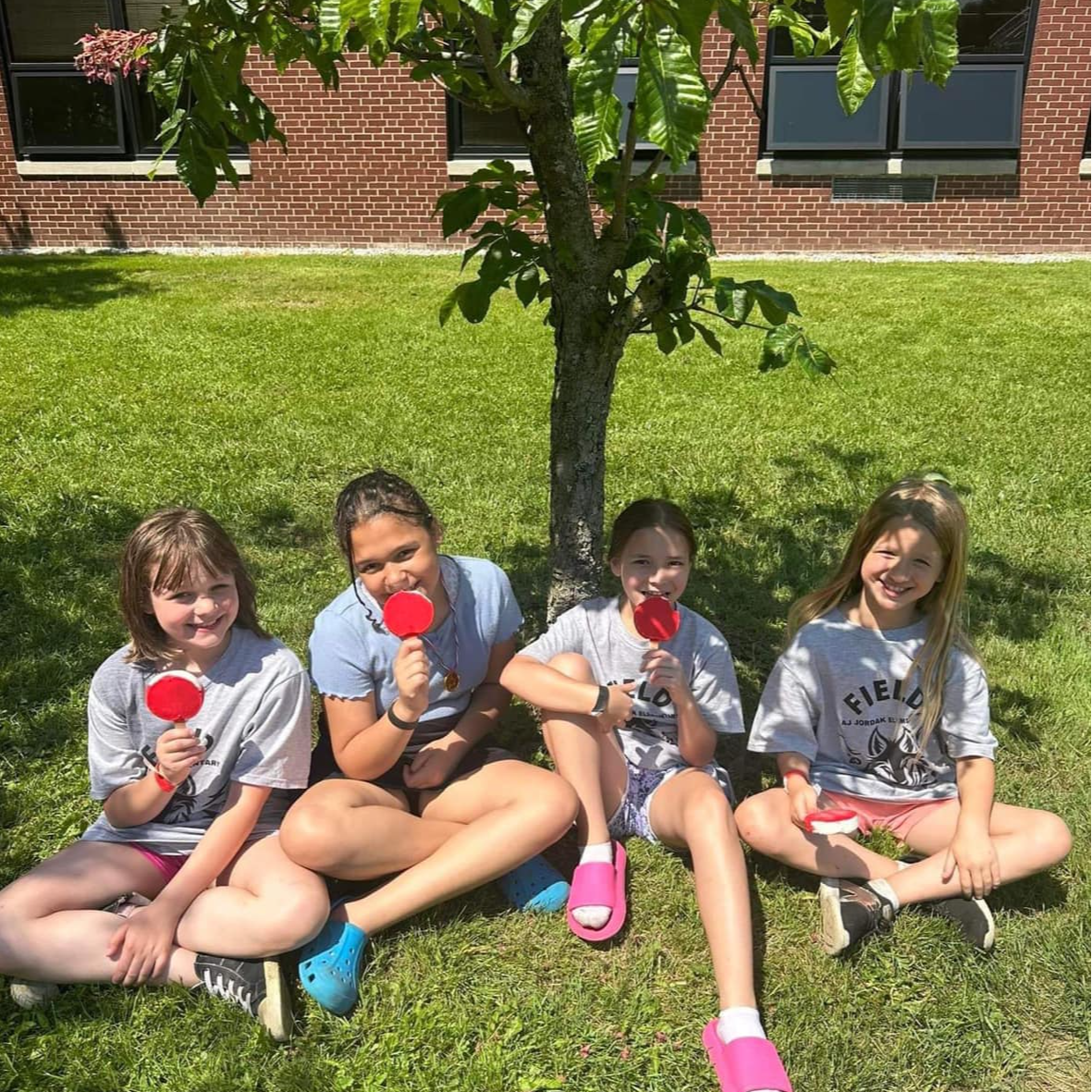 Cardinal PTO set up all things for Field Day in May 2024. 