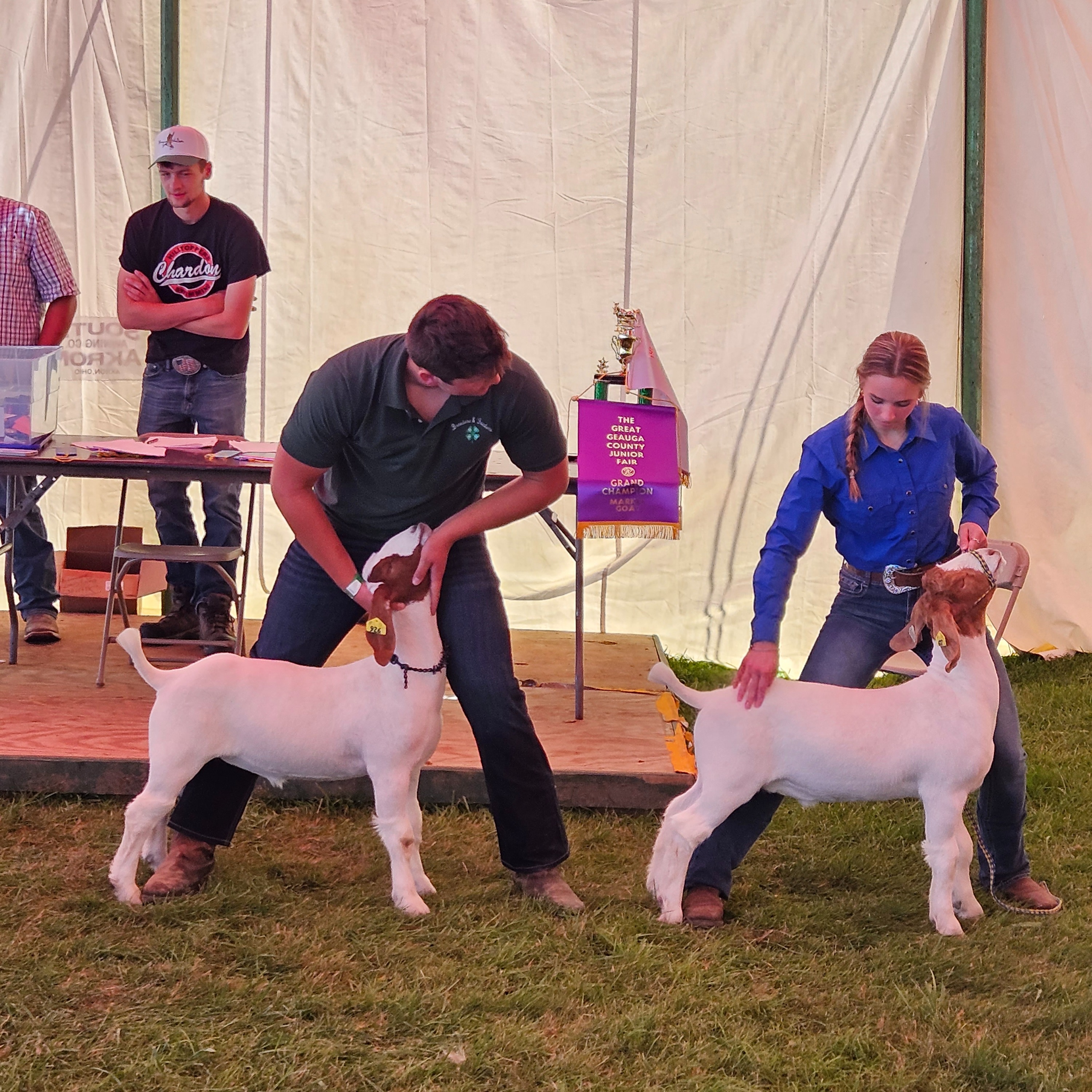 Max S. shows goats at the Geauga County Fair. 