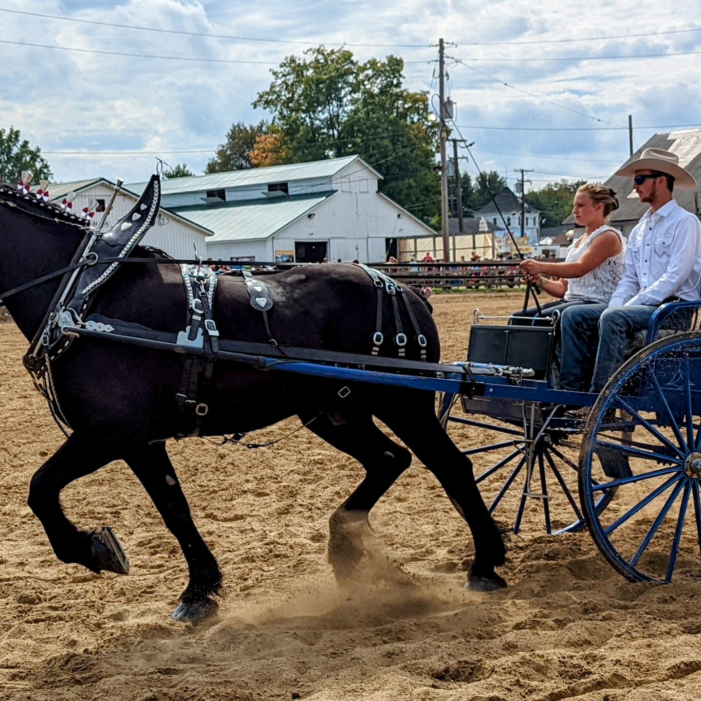 Ora B. shows horses at the Geauga County Fair. 