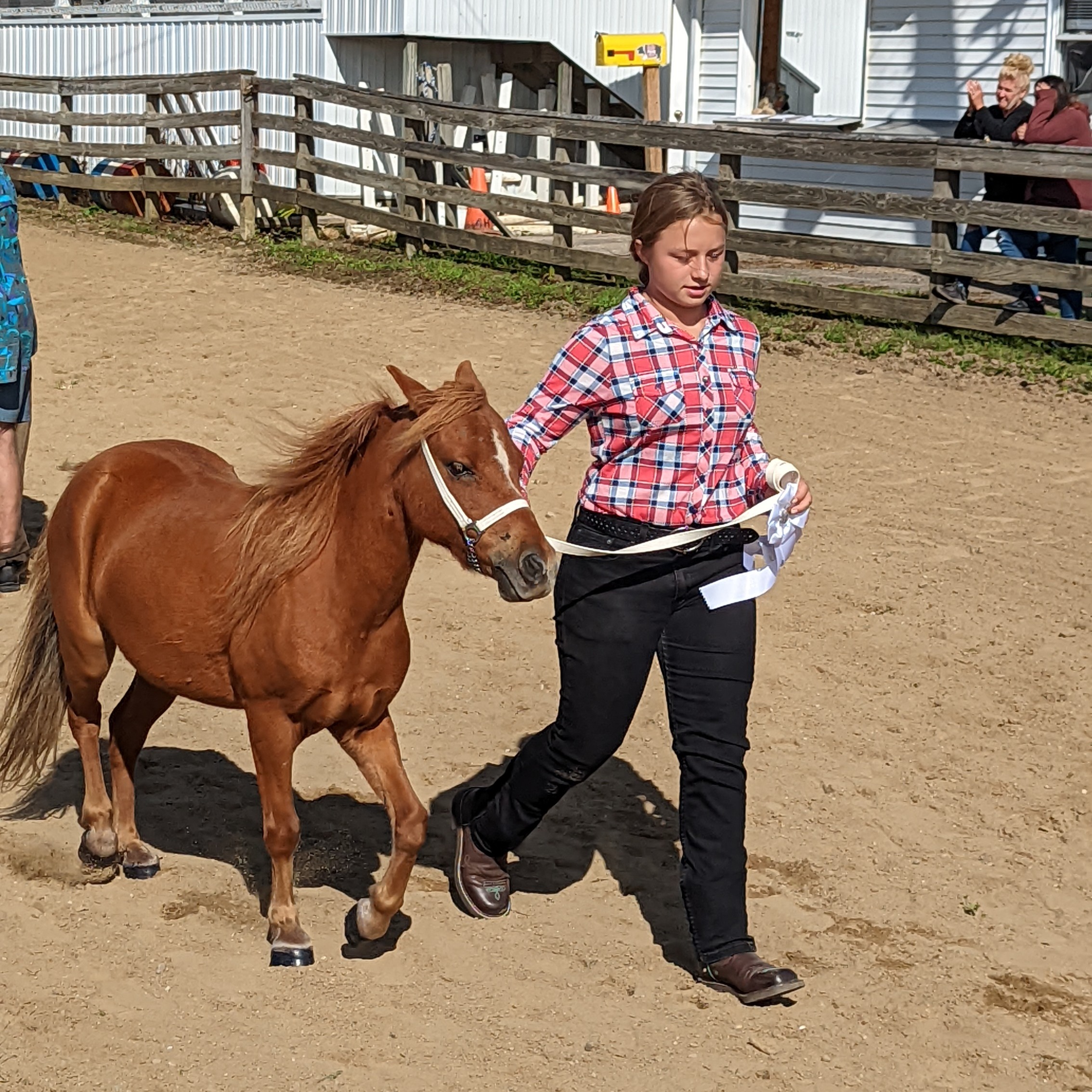 Ora B. shows horses at the Geauga County Fair. 