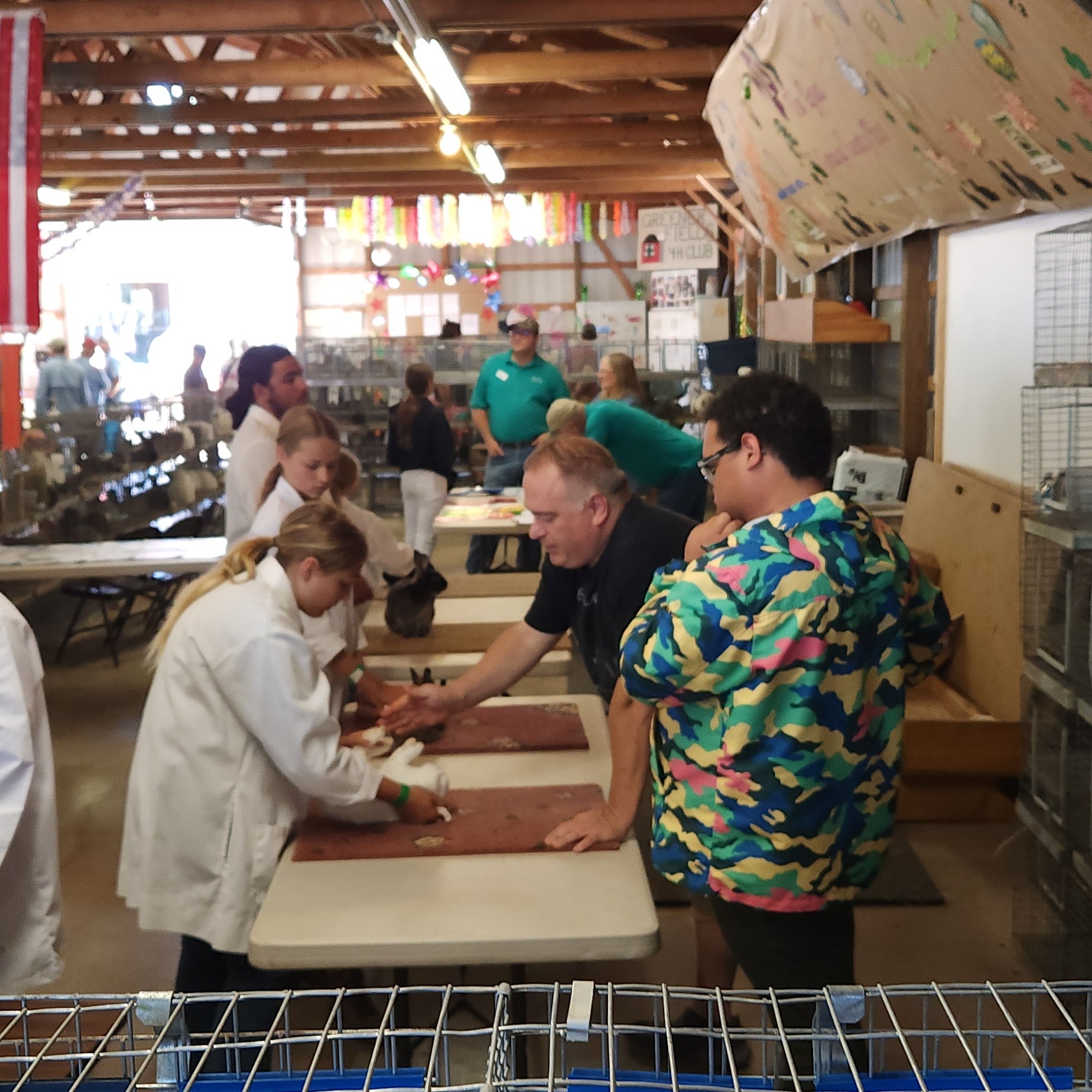 Reagan F. shows rabbits at the Geauga County Fair.