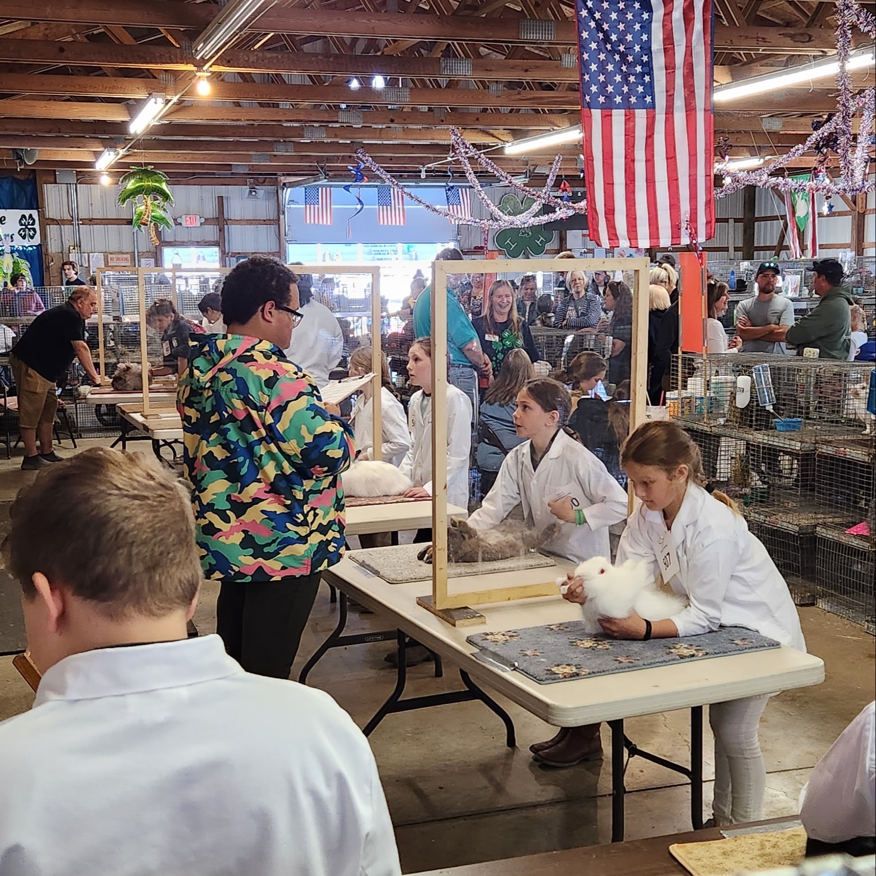 Andi F. shows rabbits at the Geauga County Fair.