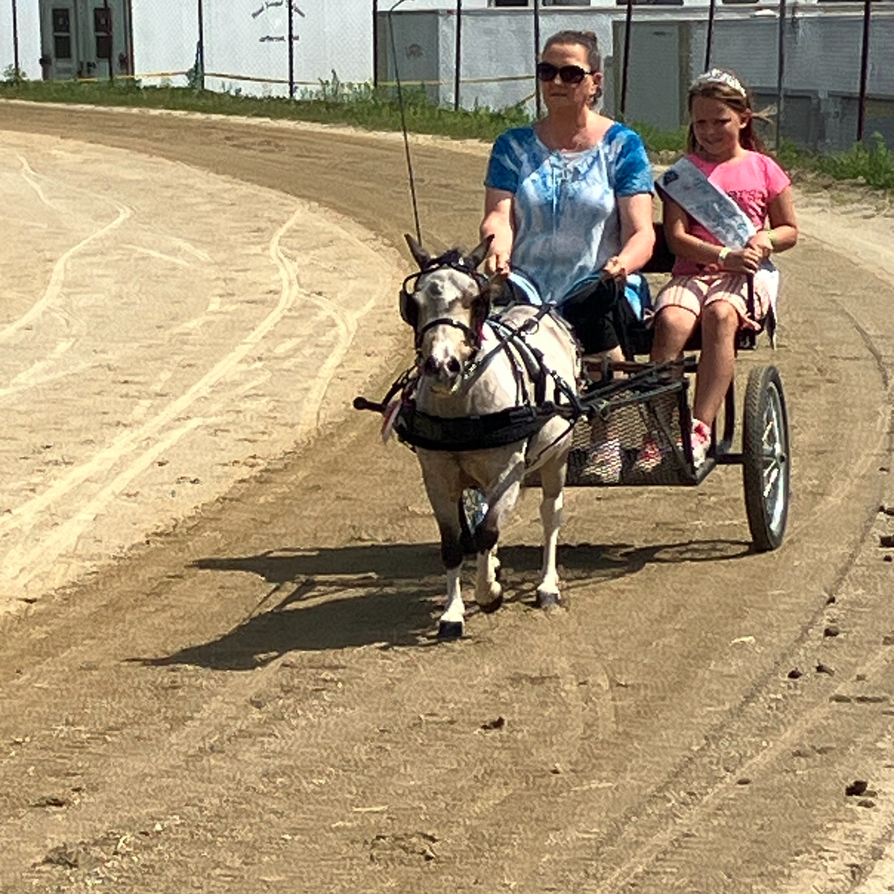 Miss Johnson participates in the Geauga County Fair.  