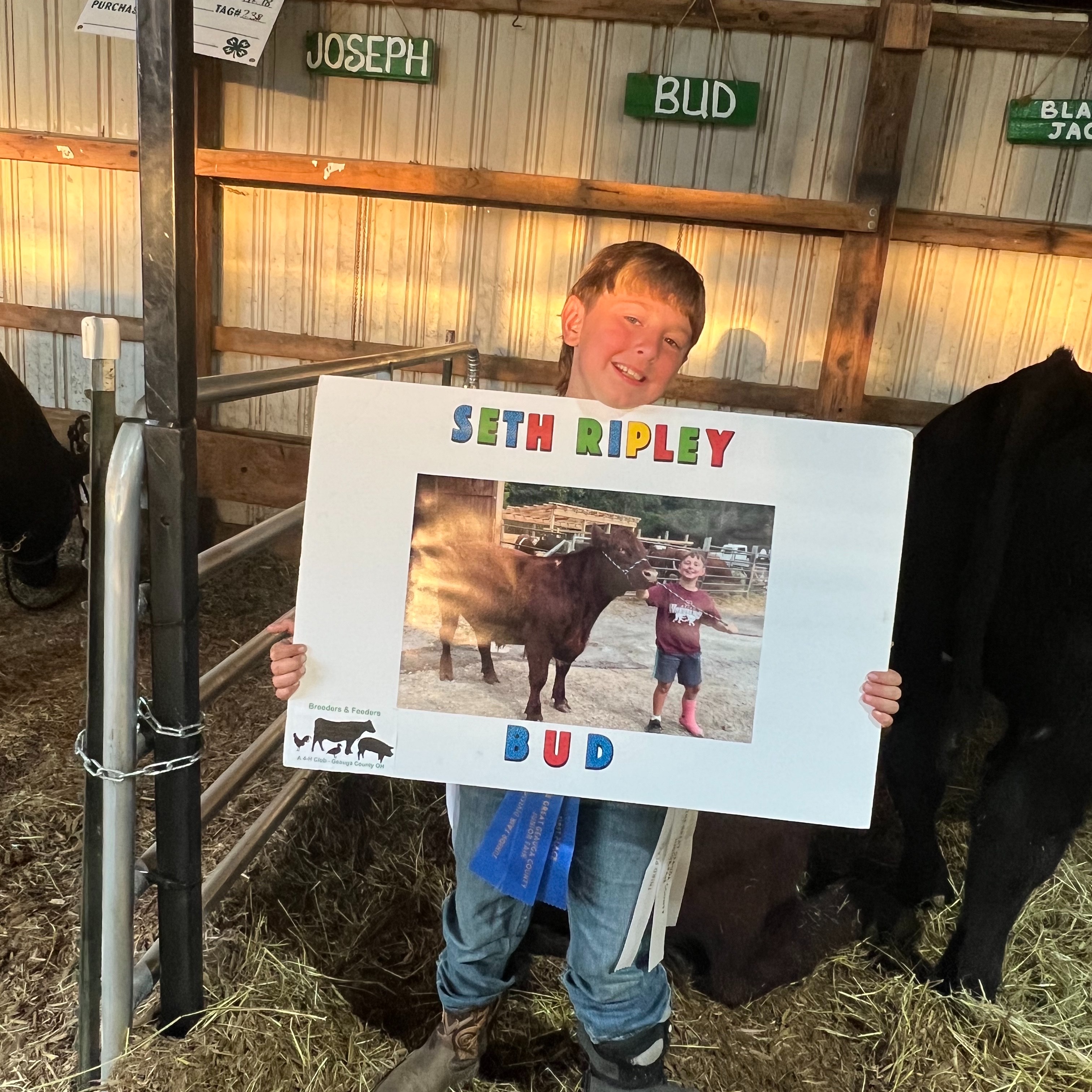 Seth R. shows cows at the Geauga County Fair. 