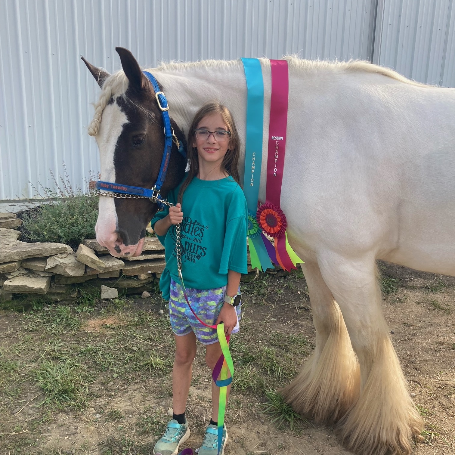 Mylie B. shows horses at the Geauga County Fair. 