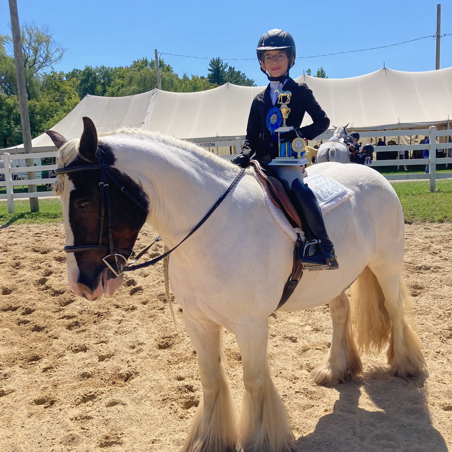 Mylie B. shows horses at the Geauga County Fair. 