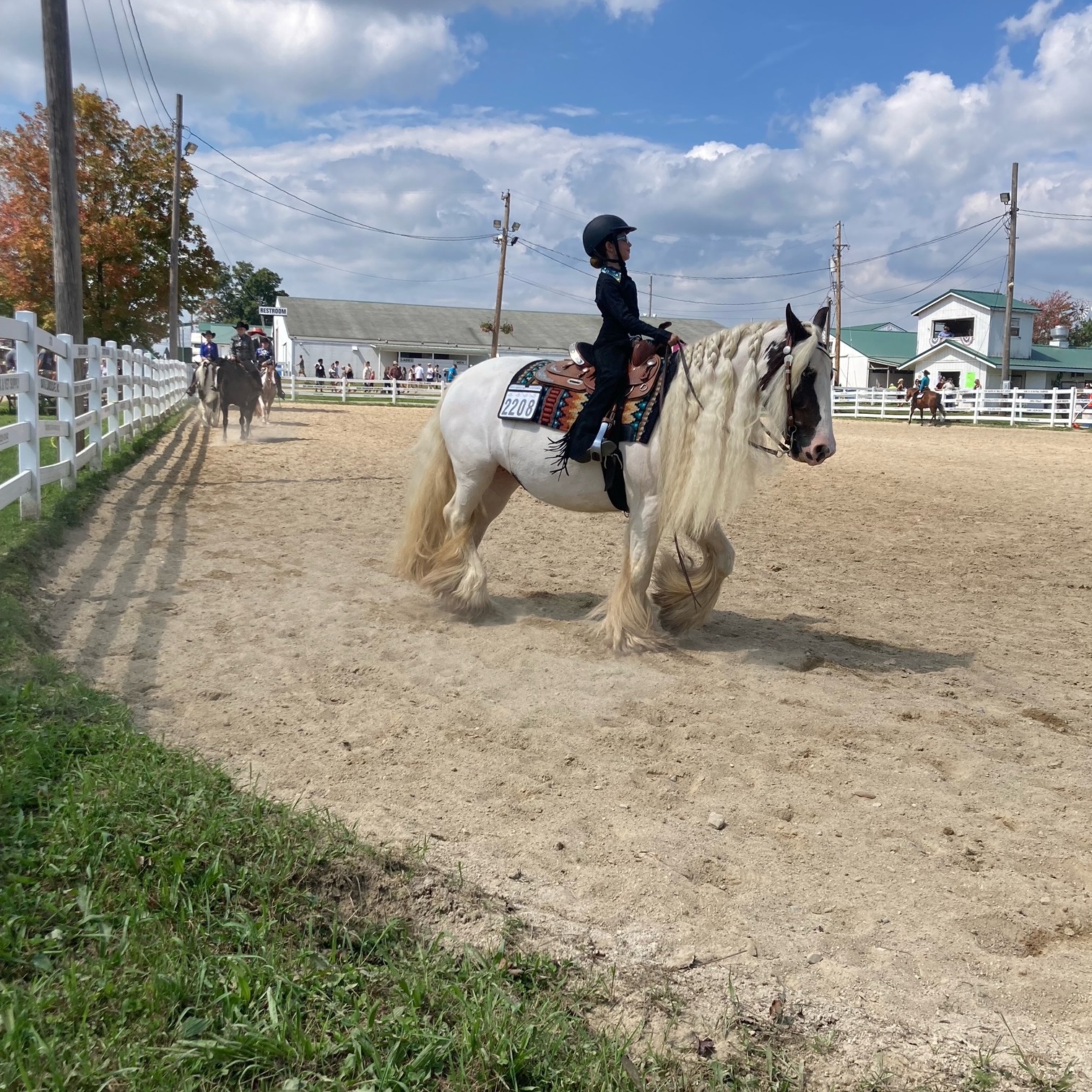 Mylie B. shows horses at the Geauga County Fair. 