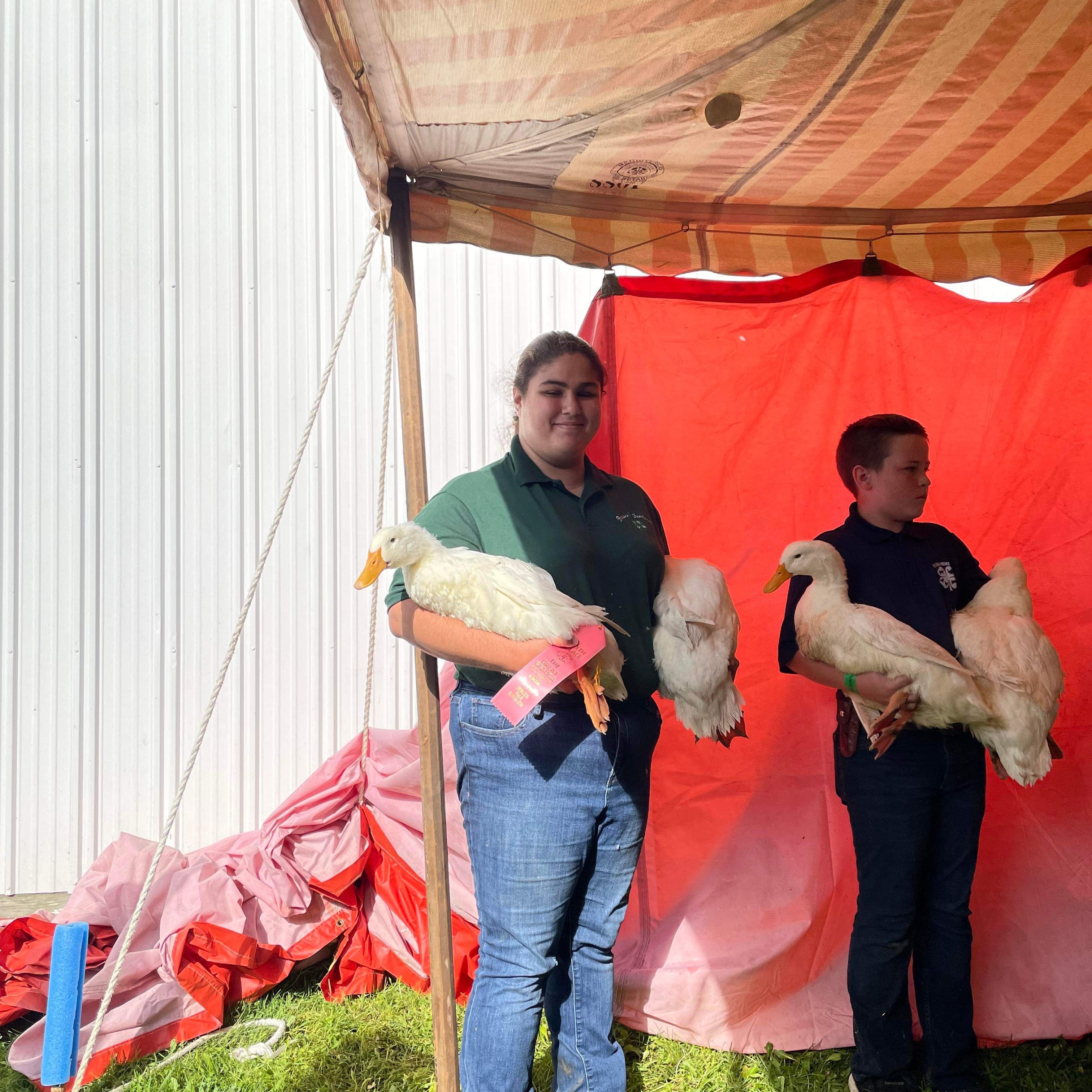 Allie B. shows ducks at the Geauga County Fair. 