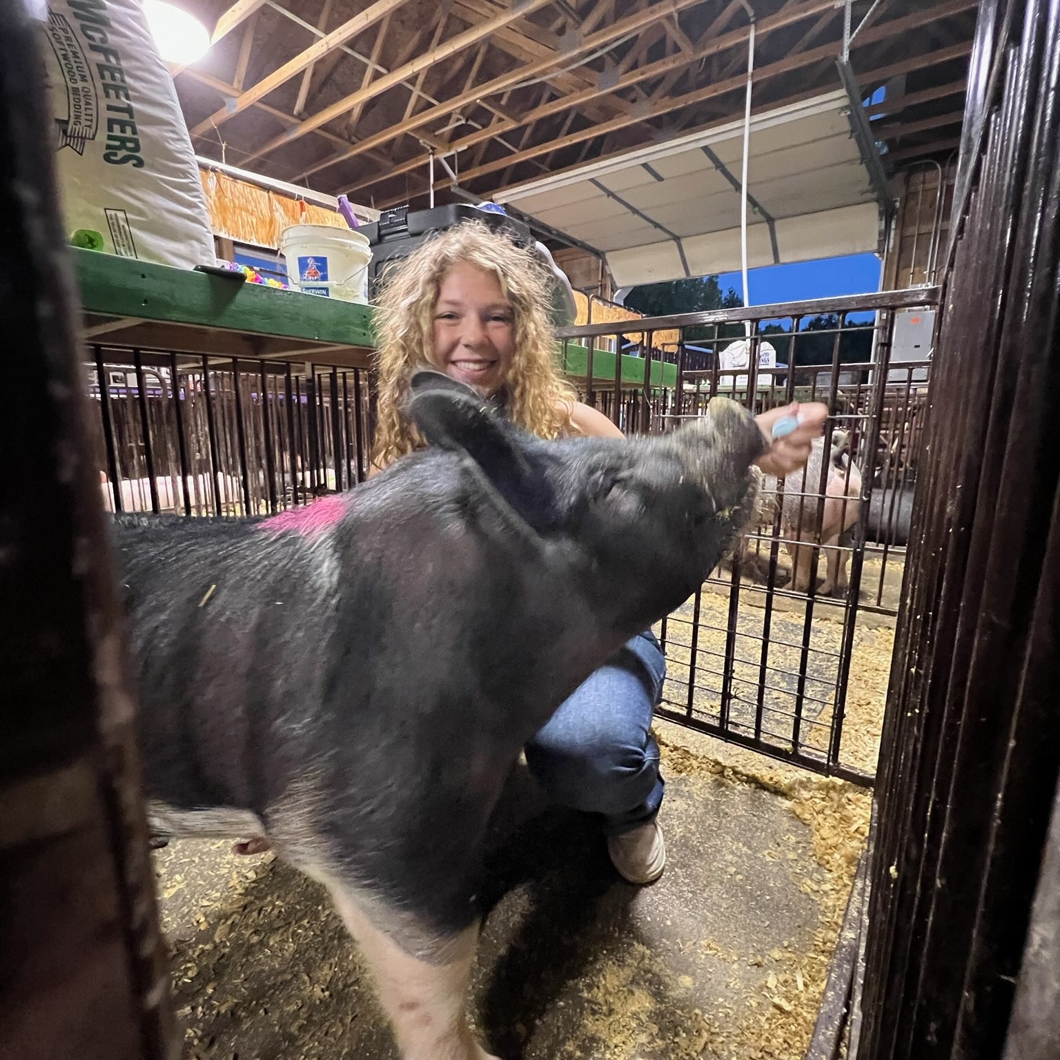 Rylie L. shows pigs at the Geauga County Fair. 