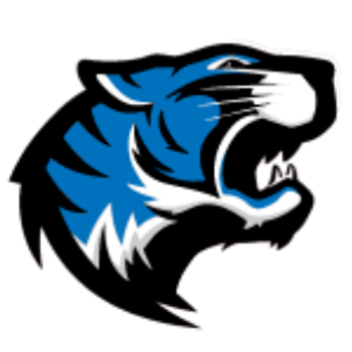 Staff DeWitt Middle School