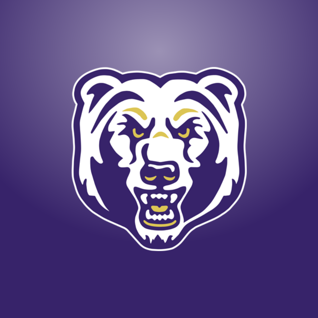 bear head logo