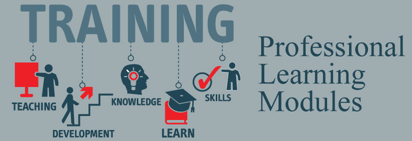 Professional Learning Modules header