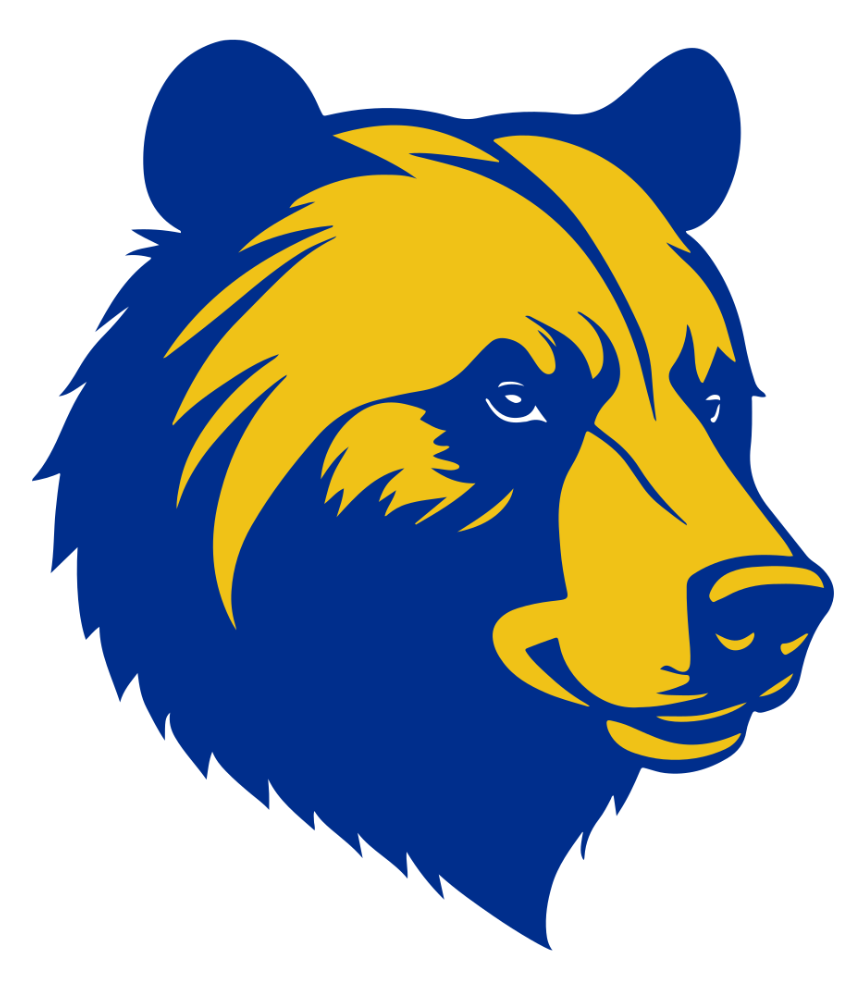 blue-gold-bear