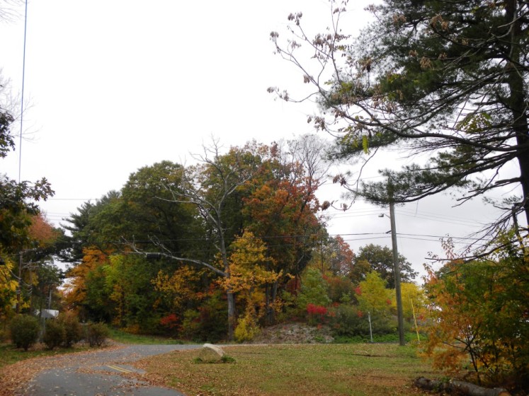 Peck's Mill Pond 