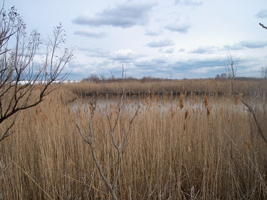 Great Meadows Marsh park