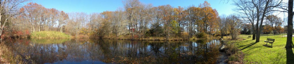 Panorama of John Chanda Park