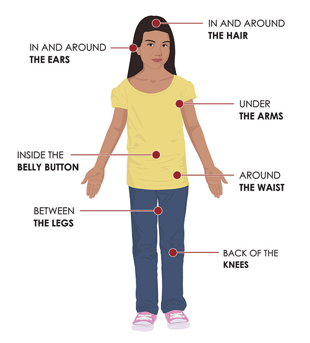 Where to check for ticks