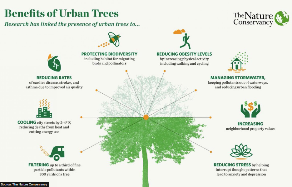 Benefits of Urban Trees