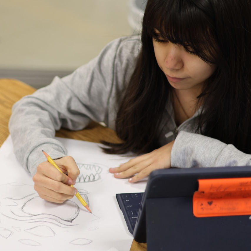 middle school female student drawing