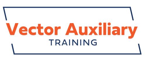 Vector Auxiliary Training