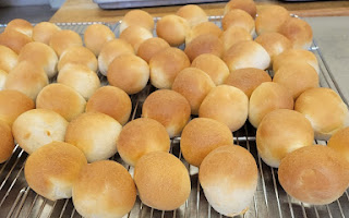 Dinner Rolls