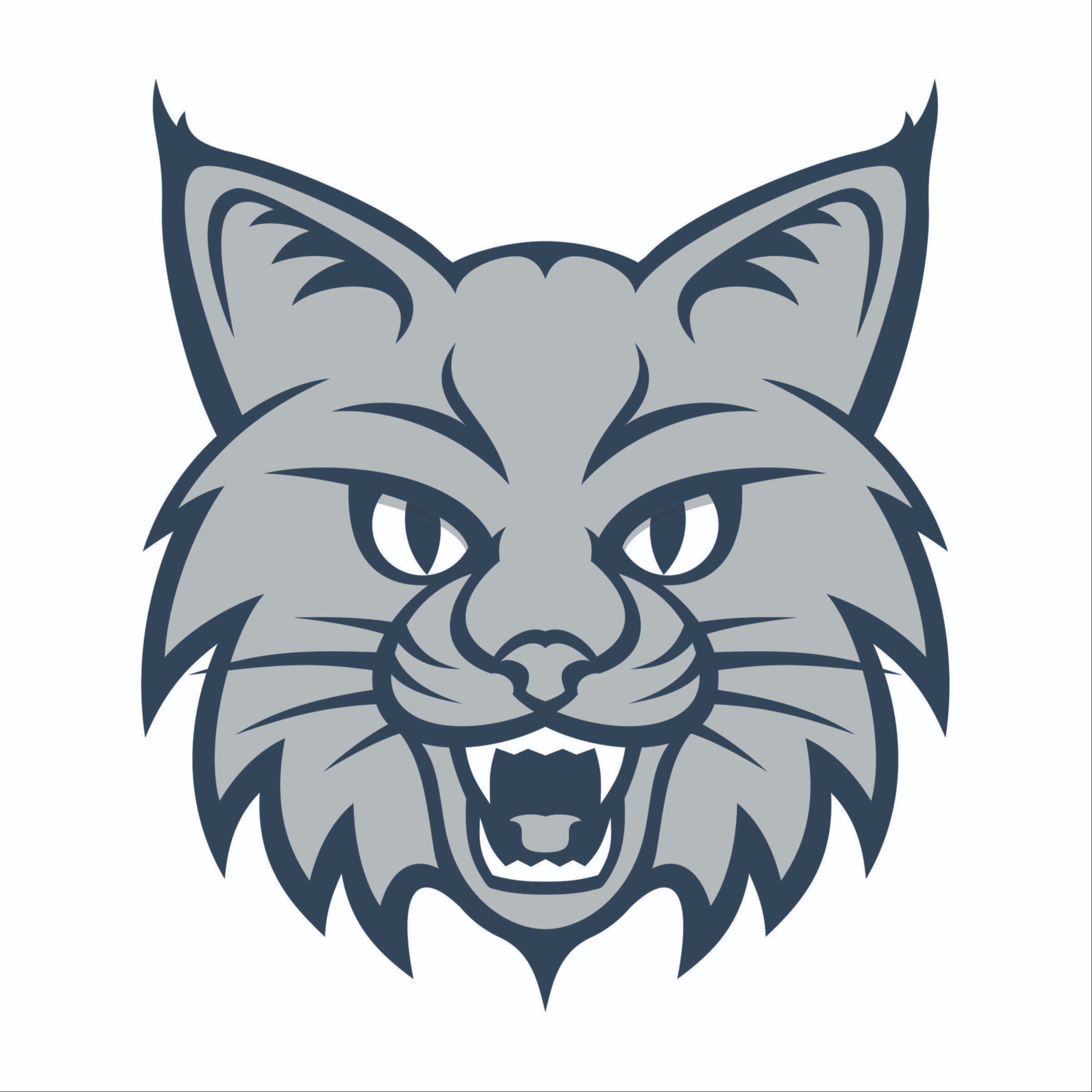 Regional School District 20 regional-school-district-20