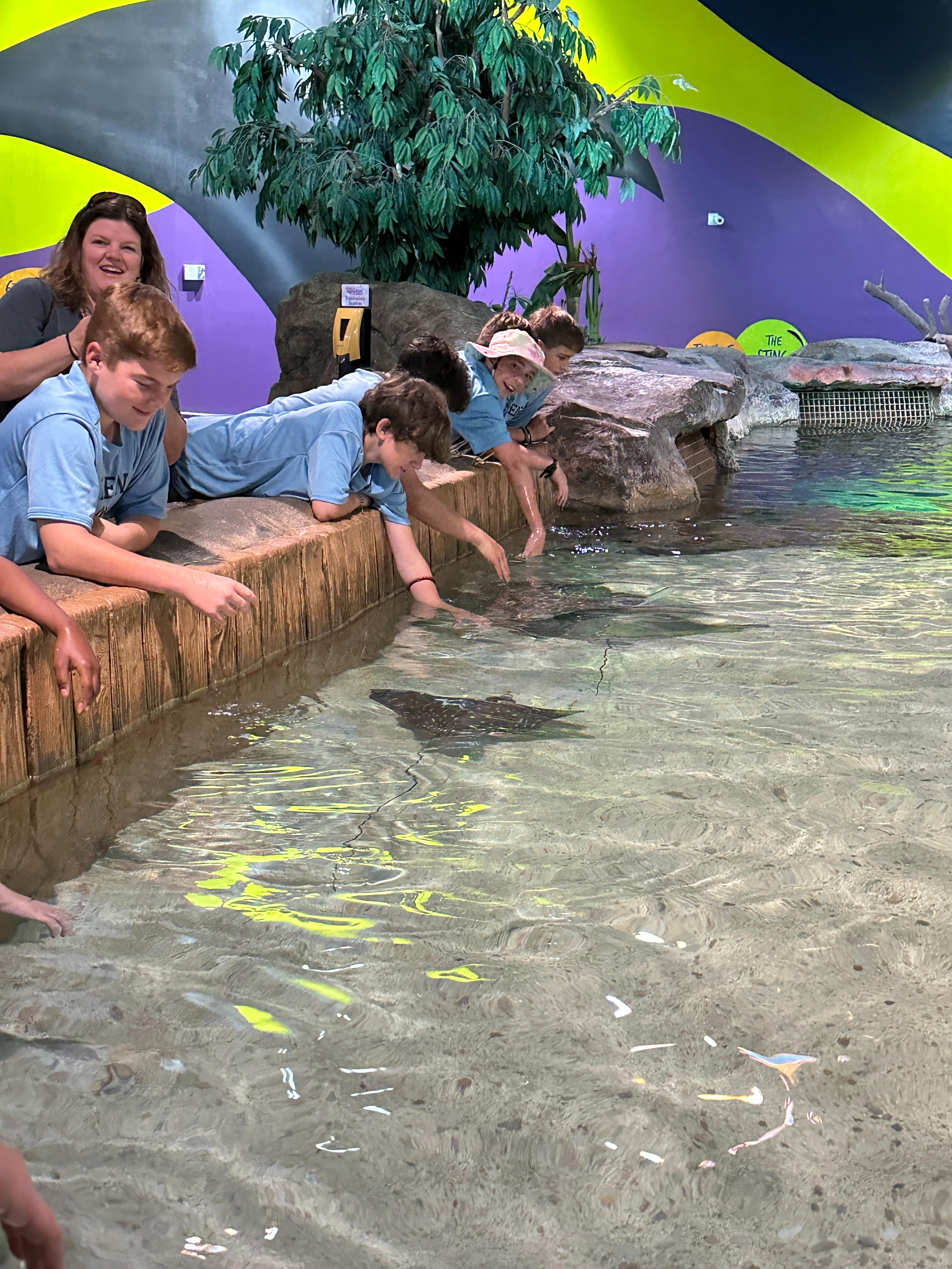 Students at Ripley's  Aquarium of the Smokies