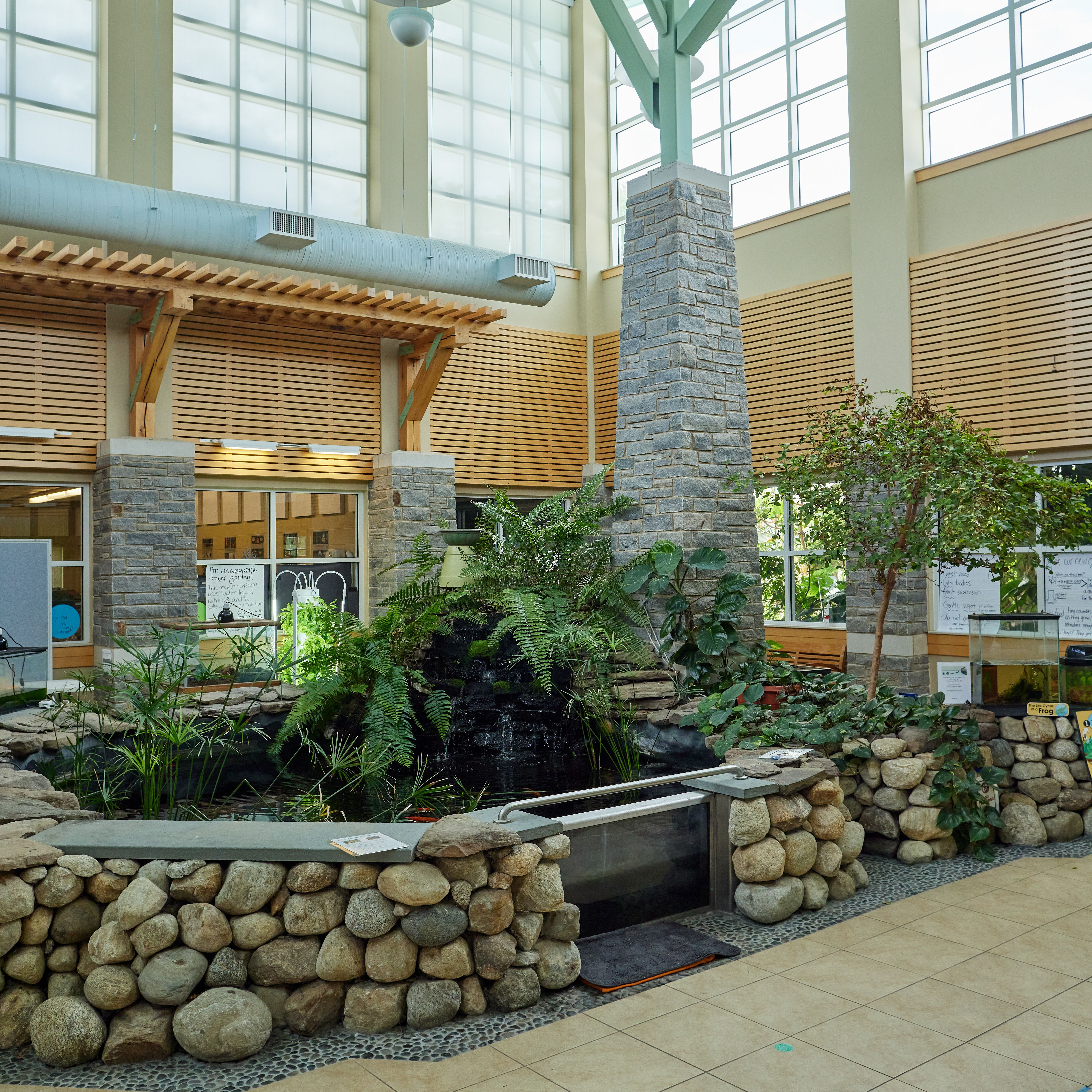 koi pond in atrium, rocks and plants