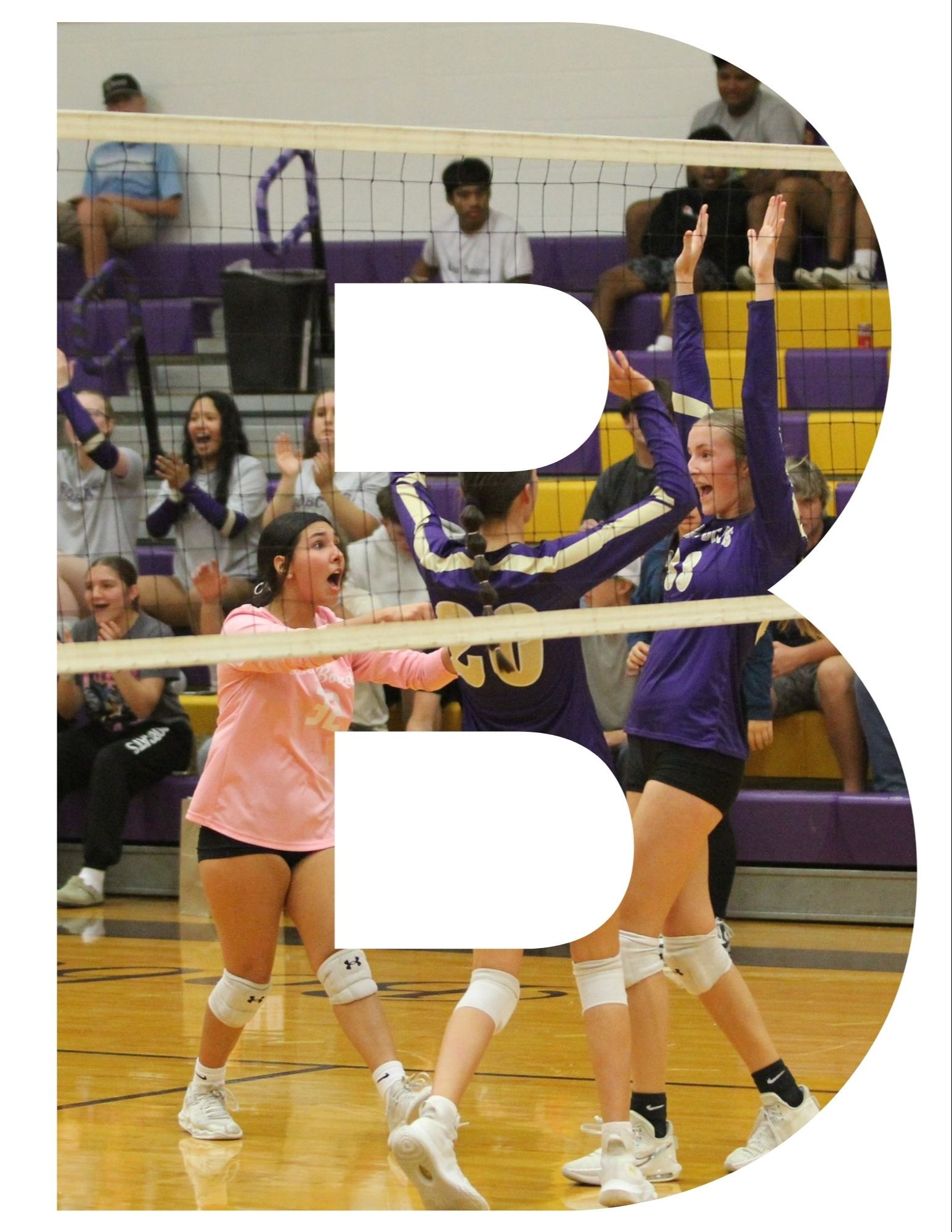 VOLLEYBALL