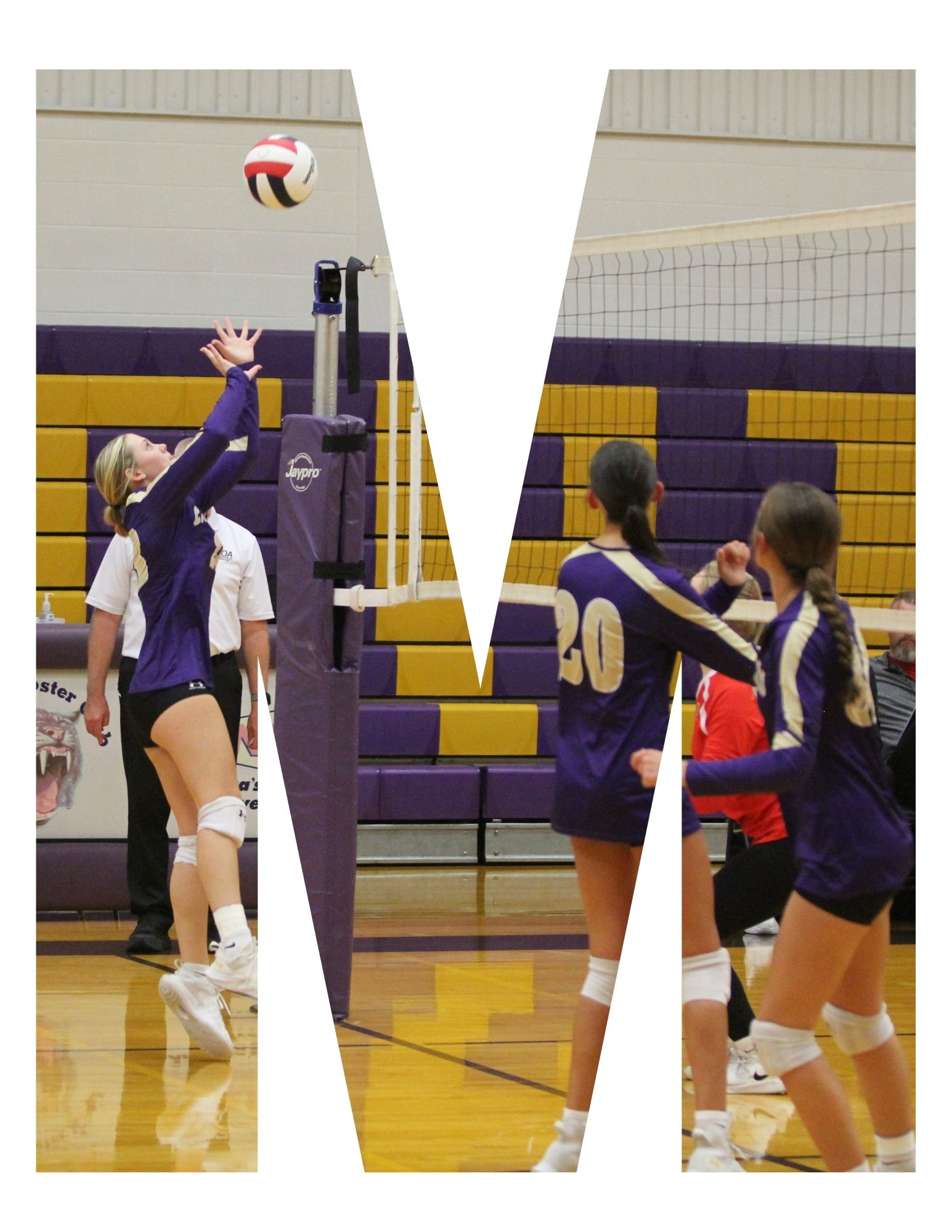 VOLLEYBALL
