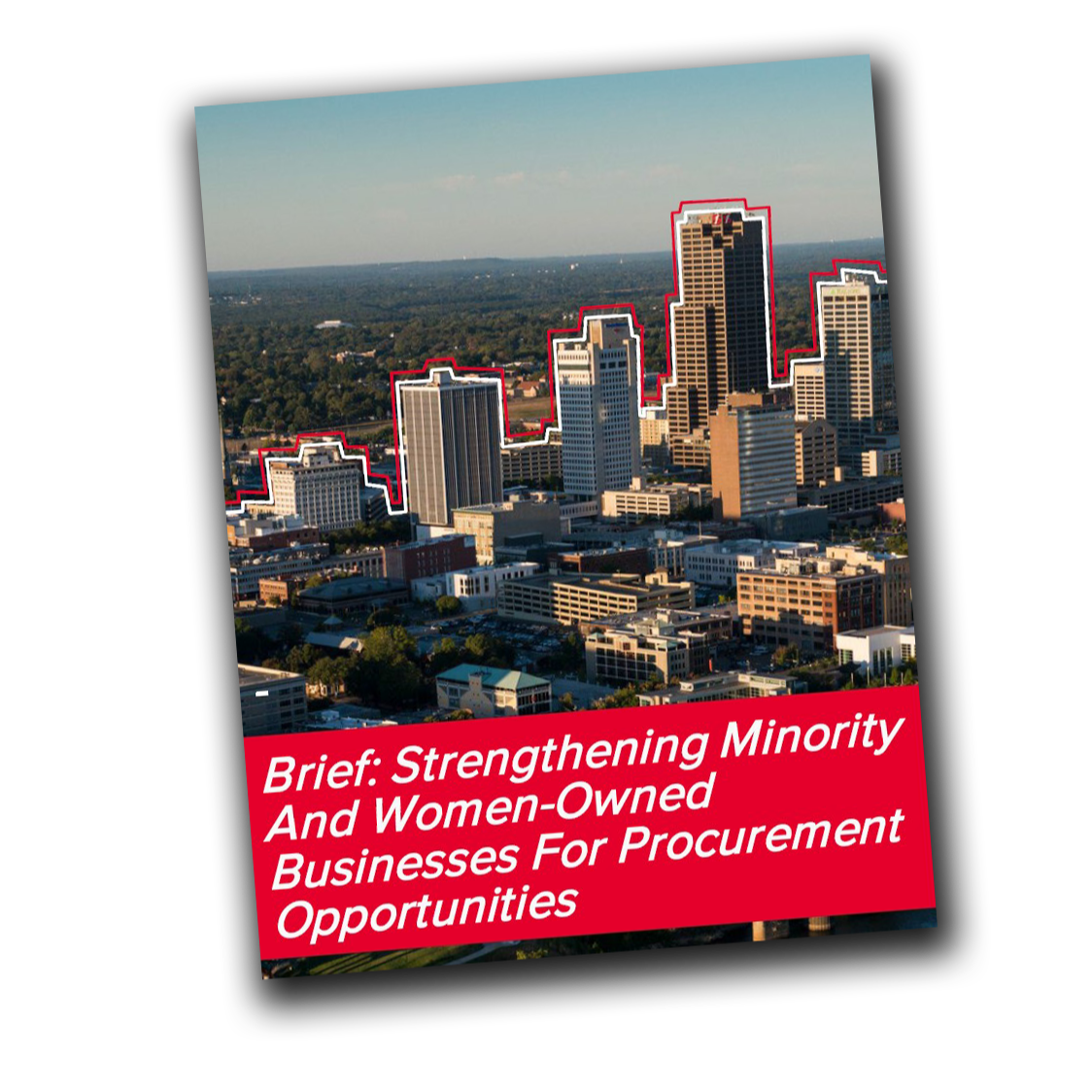 Minority and Women Owned Business Brief