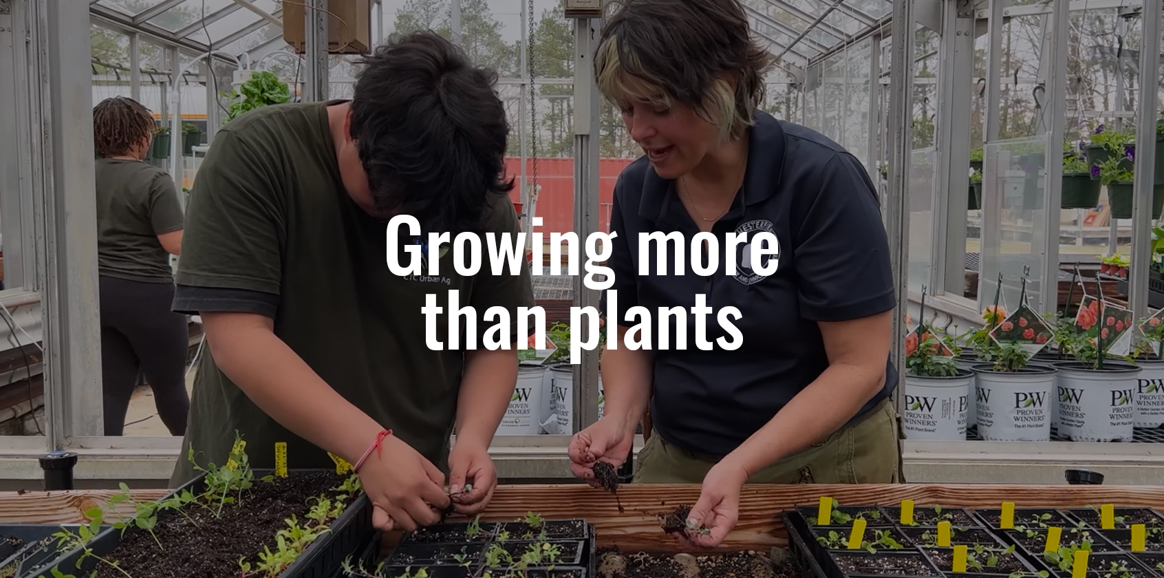 A teacher and a student are preparing plants for a plant sale.