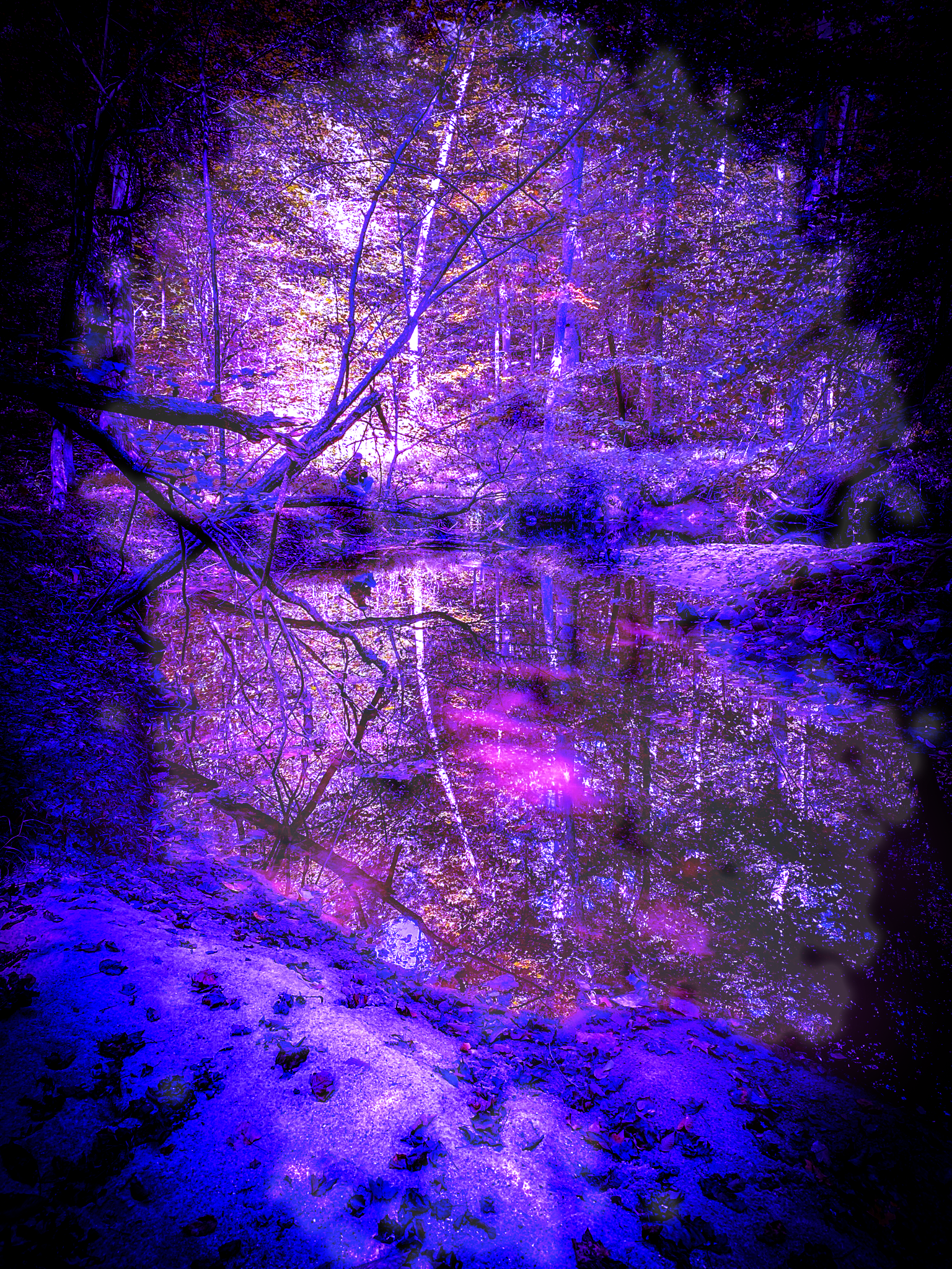Artwork of trees and a pond in a purple hue