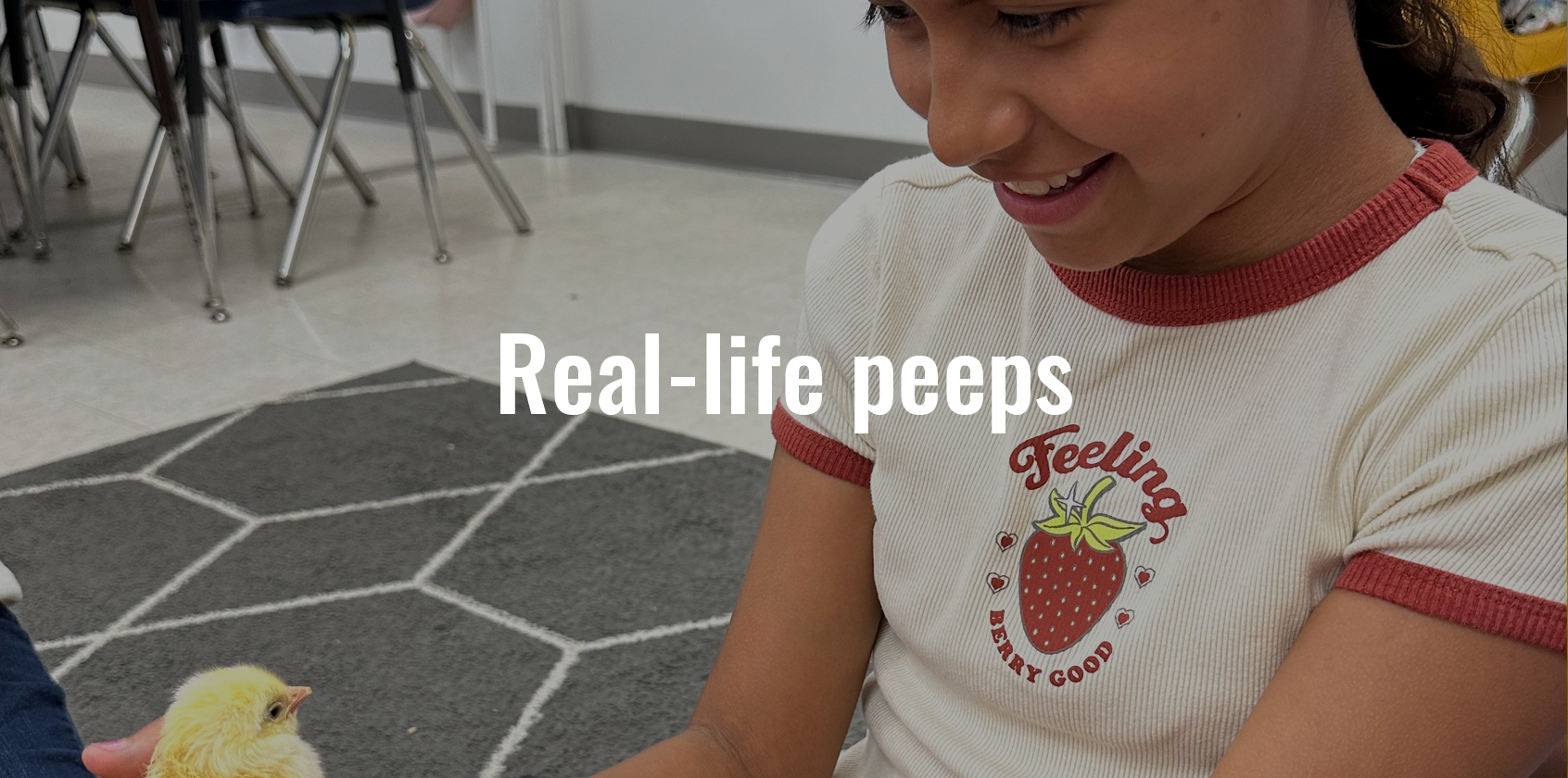 A girl holding a chick in class with text that says "Real-life peeps"