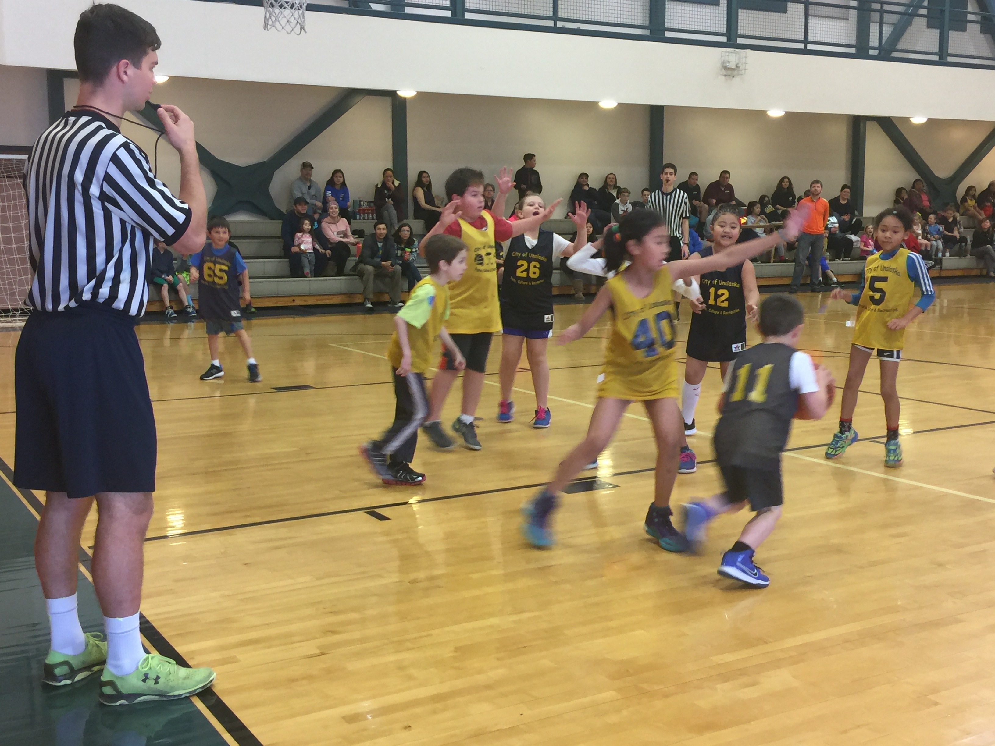 Youth Basketball Ref