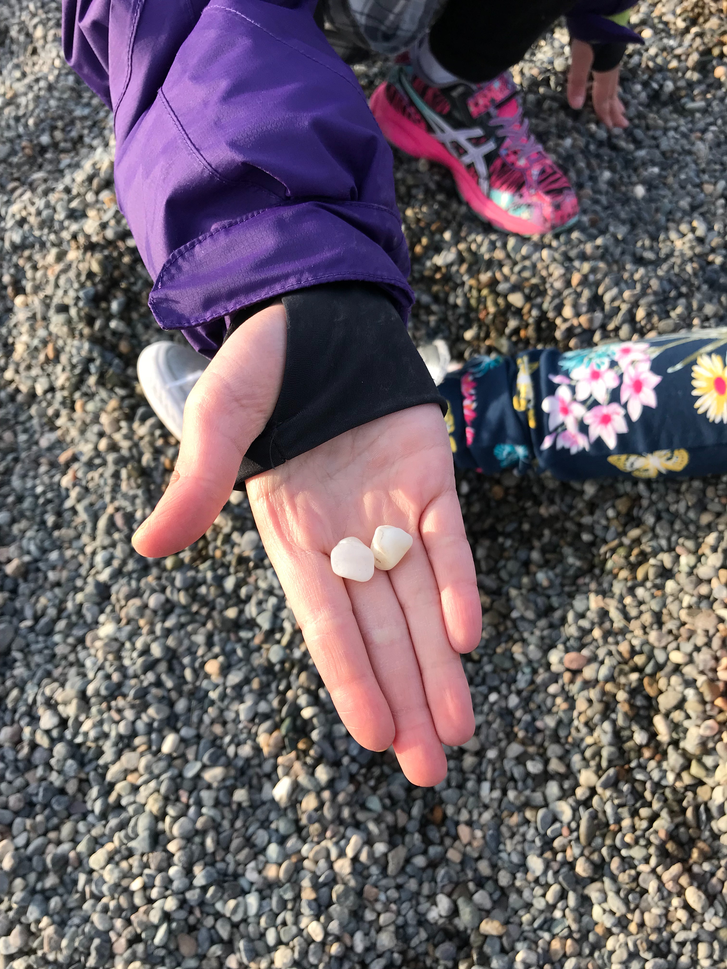 PCR 360 box build activities