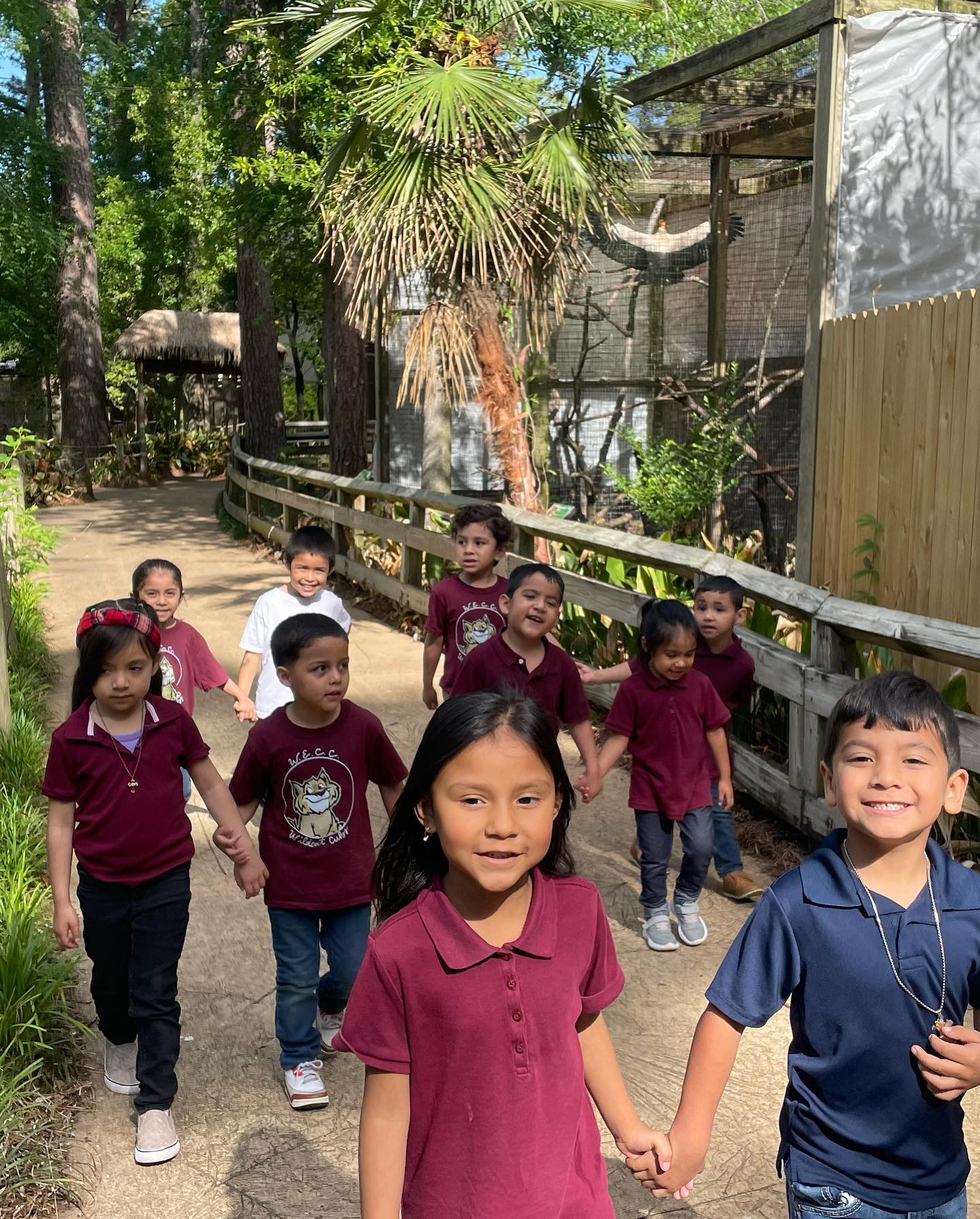 students walking in the zoo