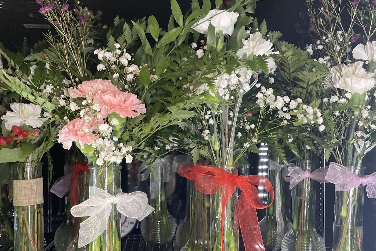 Valentine's Day Carnations