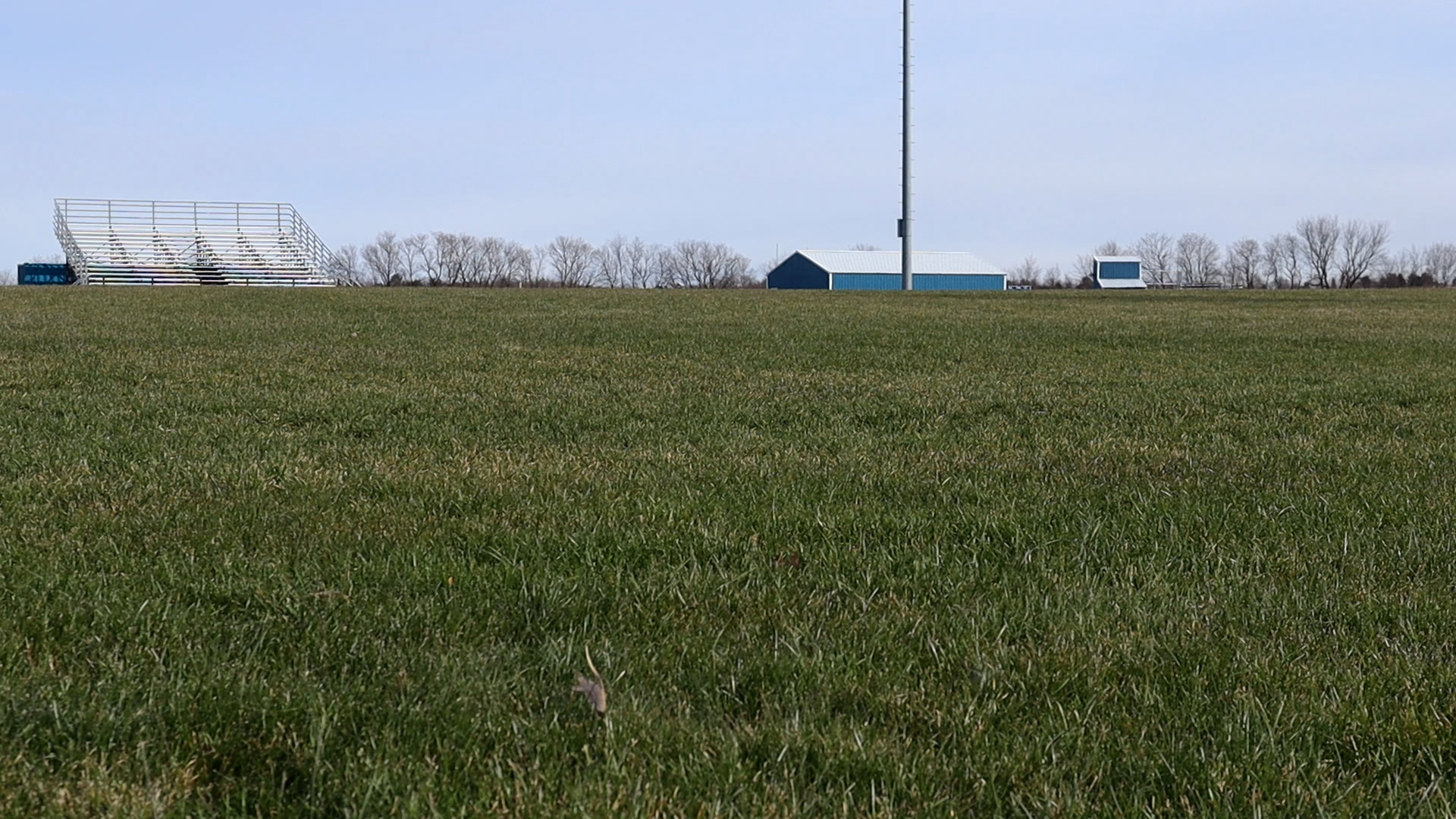 Field Crown