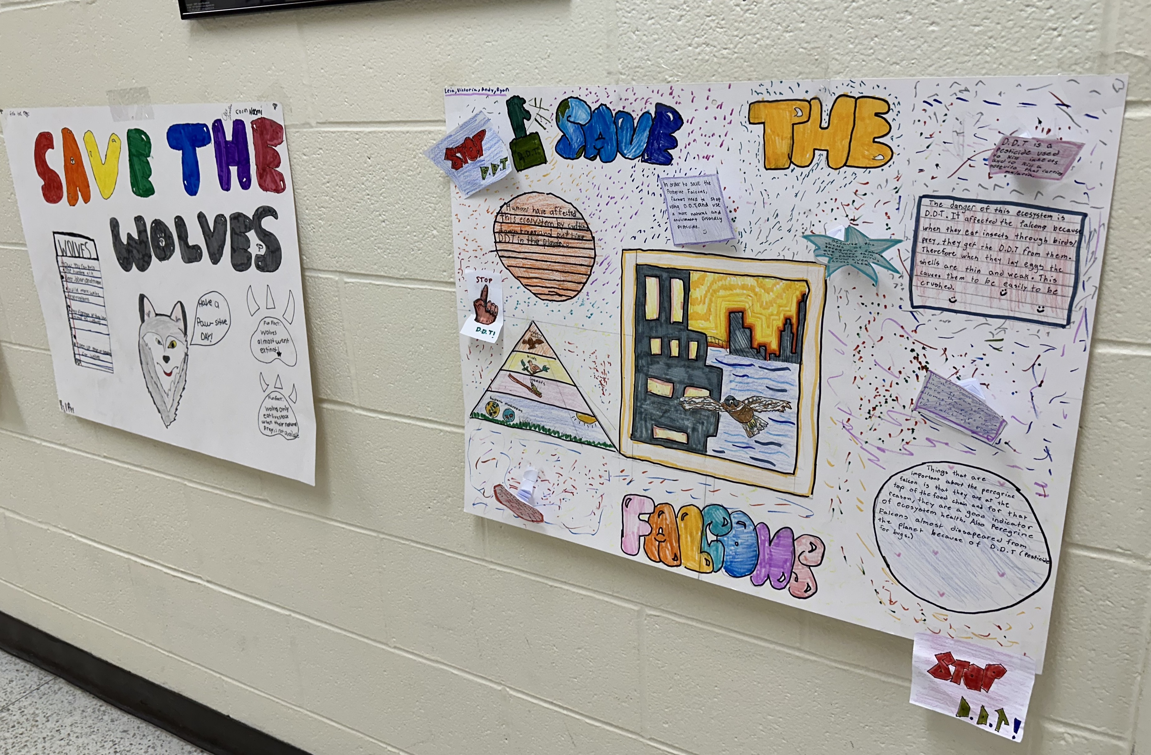 ecosystem poster